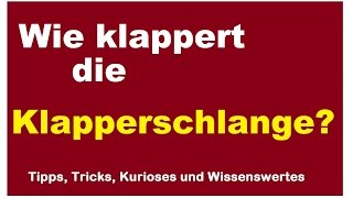 Wie und womit klappert die Klapperschlange Schlange Horn Rassel tödlich [upl. by Marlon]