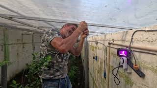 Trellising the Apache bramble bush in an underground greenhouse zone 13 for more efficient growth [upl. by Radbourne]