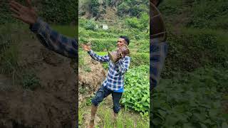 Uttarakhand jhoda chachari  Folk Song [upl. by Koby]