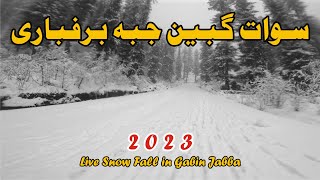 Live Snowfall in Swat Gabin Jabba  2023 First Snowfall  Ajab Khan [upl. by Frankie]