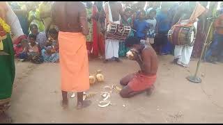 Ayya Kovil thiruvila chembadu ❤️ Hanuman Ilaneer kudikkum arputha kaatchi🙏 Ayya undu 🙏 [upl. by Aissatsan]