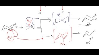 oxocarbenium ion  which anomer   carbohydrate 4 [upl. by Ahseetal]