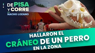 Daban carne de perro en lugar de carne de borrego en Hidalgo  DPC con Nacho Lozano [upl. by Romano175]