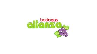 Ventajas de comprar en wwwbodegasalianzacom [upl. by Branen]