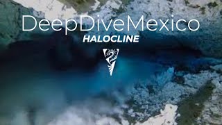 Diving into a Halocline of the Mexican Cenotes  DeepDiveMexico [upl. by Yasu]