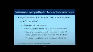 Anatomy and Physiology Help Chapter 16 Light OverviewFlythrough of Autonomic Nervous System [upl. by Eeleak]