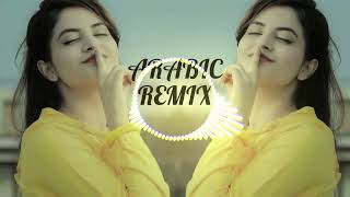 New Arabic Remix Song 2023  Arabic Song  Slowed Reverb  Bass Boosted  Arabic Remix Songs [upl. by Haliled]