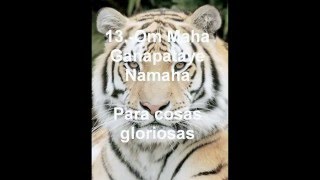 32 MANTRAS A GANESHAwmv [upl. by Airahs]