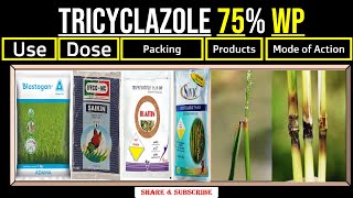 Tricyclazole 75 WP  Tricyclazole  Uses  Dose  Time of Application  Mode of Action [upl. by Ruperto313]