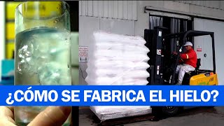 FÁBRICA DE HIELO ¿CÓMO SE PRODUCE  Un informe de Daniel Malnatti [upl. by Auqeenwahs860]