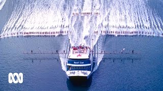 How Cairns broke a mass waterskiing record nearly 40 years ago 🛥️ 🌞🏆  ABC Australia [upl. by Carma]