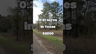 031 acres for sale in Texas for 5200 texas foryou realestate property land short invest [upl. by Cooper]