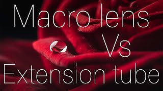 Macro lens Vs extension tubes Which is better [upl. by Hayman]