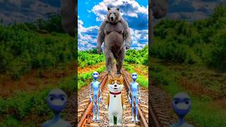 Dame tu cusita dance challenge for Fox amp King Kong Attack pasita shorts cartoon funny [upl. by Ahsotan]