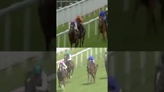 FRANKEL 2011 VS FRANKEL 2012 in the Sussex Stakes 🫣 QGF GloriousGoodwood [upl. by Zucker]