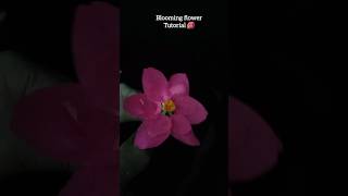 Blooming flower Tutorial 🌺 [upl. by Shepley]