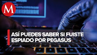 ¿Cómo saber si he sido espiado con Pegasus [upl. by Anbul17]