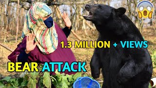 Bear Attack Part 2  Kashmiri Funny Drama [upl. by Elatsyrk]