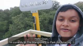 The Mangrove Eco Park Vlog  Tivon Titus  foryou [upl. by Steinberg]