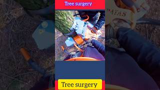 Tree surgerykkuh9439youtube [upl. by Ecargyram355]