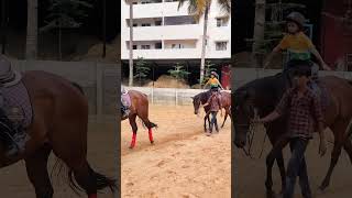 From classroom to the stables Jain school kids do it all 🏫🏇  Horse Riding  Zippy Equestrian [upl. by Arramat]