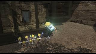 • FFXIV Bard Performance •  Etrian Odyssey  Labyrinth II Primitive Jungle [upl. by Nelia]