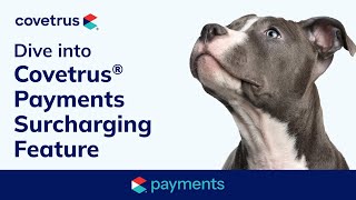 Dive into Covetrus® Payments Surcharging [upl. by Raval498]