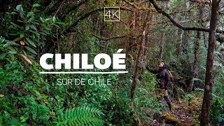 el lado más salvaje de CHILOÉ  Sur de Chile 4K  GoCarlos [upl. by Ecreip]