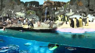 The Living Planet Aquarium New Building Concepts [upl. by Joannes284]