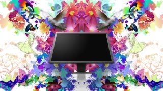 ColorEdge CG2420 and CS2420 Monitors [upl. by Roydd]