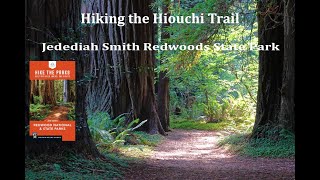 Hiking the Hiouchi Trail Hidden Gem in Jedediah Smith Redwoods State Park [upl. by Wehhtam915]