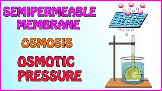 Semipermeable membrane  Osmosis  Osmotic Pressure Class 12th with Notes  In Marathi  Chemistry [upl. by Atnahsal408]