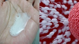 How to Increase Sperm or Semen Thickness  Improve Semens Volume [upl. by Elleval268]