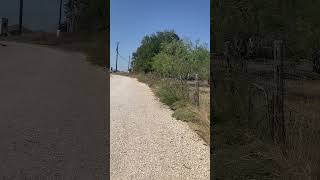 Best LongTerm RV Park Near Austin Texas [upl. by Eniamrahs]