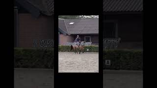 𝐒𝐡𝐢𝐧𝐞 𝐛𝐫𝐢𝐠𝐭𝐡 𝐥𝐢𝐤𝐞 𝐚 𝒹𝒾𝓂ℴ𝓃𝒹 PaardenpraatTV paardenpraattvvhorse [upl. by Ley]