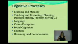 Cognition and Cognitive Processes CP [upl. by Eidoow228]