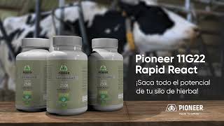 Inoculante 11G22 de Pioneer y ¡supera los químicos [upl. by Behn]