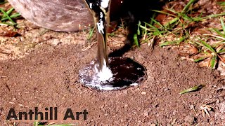 Casting a Carpenter Ant Colony with Molten Aluminum Cast 110 [upl. by Rehoptsirhc]