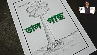 Tal Gas Drawing  Palm Tree Drawing  Easy Drawing Bangla Tutorial [upl. by Tterrej]