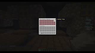 11 vote Spins opening RainyDaygg Skyblock Server [upl. by Dall]