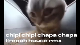 chipi chipi chapa chapa cat  french house remix [upl. by Ocer989]