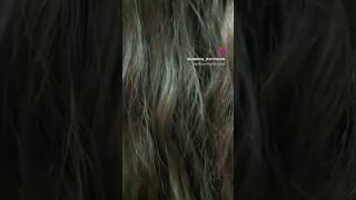 How to advance layer hair cut for long hair step by step multi layer haircut [upl. by Cressida]