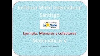 Menores y cofactores de Matrices [upl. by Ahseim140]