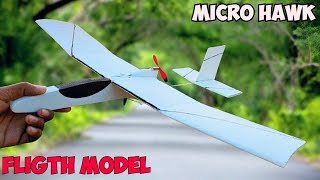 quotAmazing Flight My CapacitorPowered Model Airplane Micro Hawk Free Fligth [upl. by Eiuqcaj831]