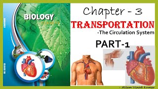 Transportation  The circulation system 10th Biology Part1 [upl. by Luapnaej537]