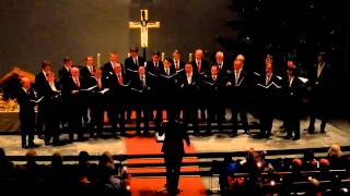 Cheste viole  Männervocalensemble Vocallegro [upl. by Eleets]