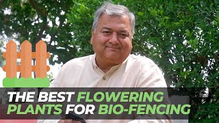 The best flowering plants for biofencing [upl. by Duff881]