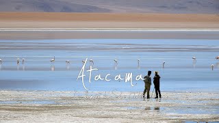 Atacama  Les flamants du Salar Chalviri [upl. by Halyahs]