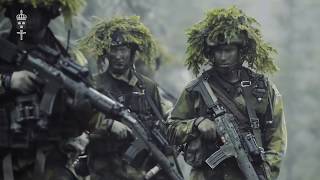 Du Gamla Du Fria  Swedish Armed Forces Not Official [upl. by Tillo]