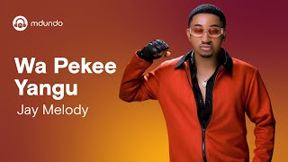 Jay Melody  Wa Pekee Yangu Official Lyrics Video [upl. by Adnawal]